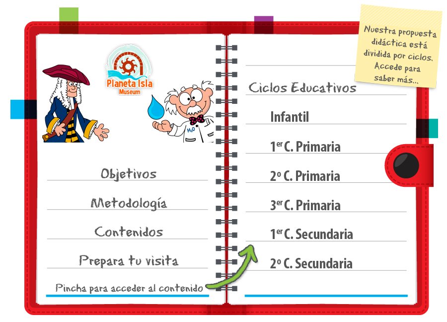 cursos de primaria y secundaria